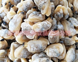 冻煮杂色蛤肉