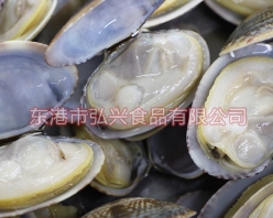 冻煮真空杂色蛤