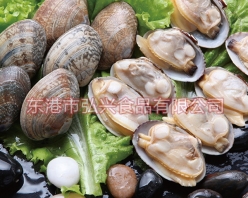 冻煮真空杂色蛤